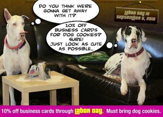 Beachdog Coupon