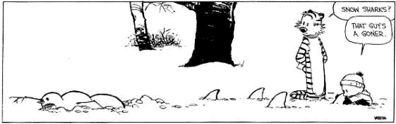 image005