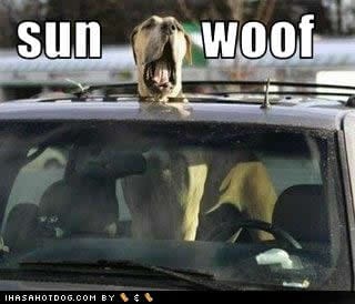 sunwoof sunwoof