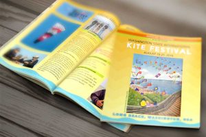 Kite Festival Program